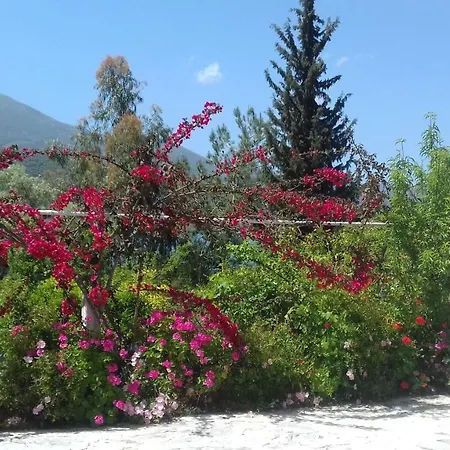 Beach House Lefkada 度假居